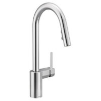 Chrome Moen Faucet