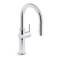 Kohler Crue Pull Down Faucet